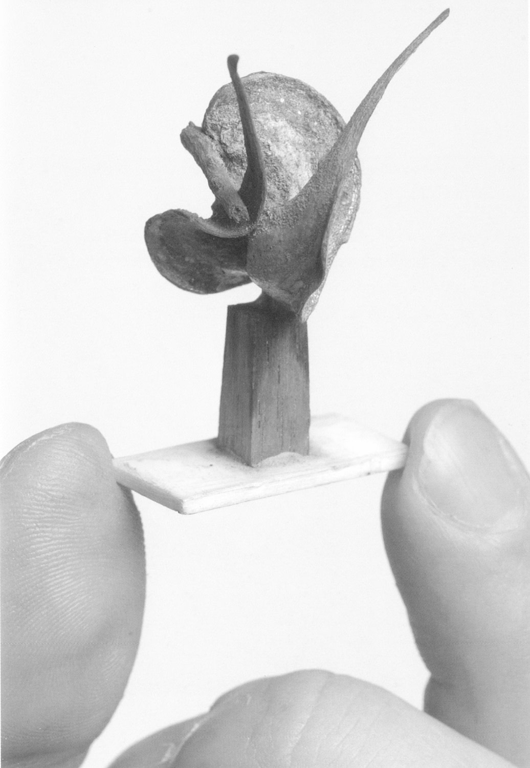 Leaf Piece, 1943, found object, painted. Image © Effy Alexakis 2002.